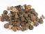 Wooden Cabinet Knobs