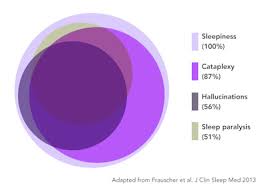 Image result for Narcolepsy