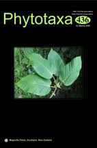 Image result for Euphorbia schinzii