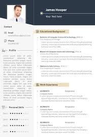 career summary example resume cv