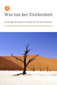 Richtig Giessen Wie Du Deinen Garten Sicher Durch Den Sommer Bringst Dein Kleiner Garten In 2020 Garten Kleiner Garten Stauden