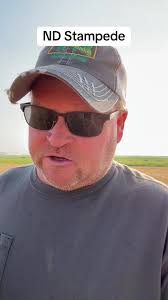 Understanding ND Stampede in Wheat Farming