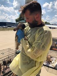 As an all volunteer rescue organization, we are always in need of dependable, compassionate and committed volunteers. 23 French Bulldog Puppies Rescued From 120Âº Truck In Texas