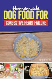 Homemade Dog Food Recipe For Congestive Heart Failure