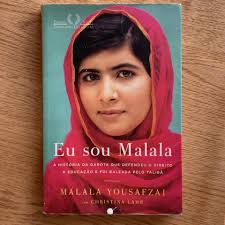 LIVRO ANTÔNIO ERMÍRIO DE MORAES