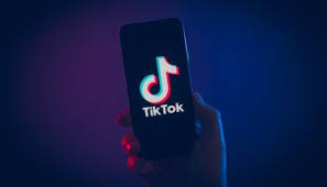 The infamous viral video prime accused ridoy babo was suspected to be a human trafficker. Here Is How Tiktok Poses A Threat To India S National Security