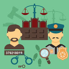 Checks And Balances For Kids Cool Kid Facts