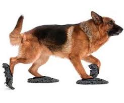 Doggie Floor Dusting Slippers Pets Dog Cleaning Pet Gear