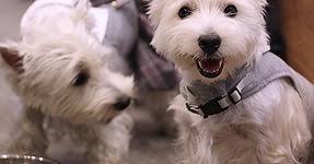 Lexie's On The Beach