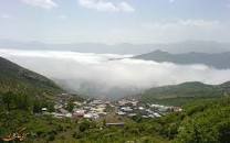 نتیجه تصویری برای آلاشت