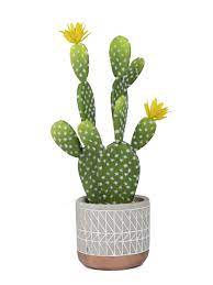 3 cacti with colorful pom pom blooms + fr… diy pom pom cactus pillow, diy and crafts, when i was little, i was obsessed with sewing things by hand. Mainstays 15 4 Inch Artificial Potted Flowering Cactus Succulent Green Yellow Color 1 Piece Walmart Com Walmart Com