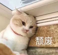 花臂老师（主页有全集） (@lhw147852)  X