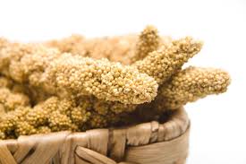 Image result for MILLET