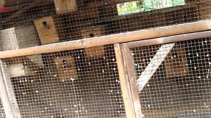 Cara buat kandang lovebird sendiri. Cara Buat Kandang Burung Dari Kawat Tentang Kolam Kandang Ternak