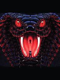 ❤ get the best snakes wallpapers on wallpaperset. Rafael Galindo Rafachamo Profile Pinterest