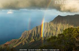 Kalalau trail is one of the most difficult and challenging hikes on kauai. Nature Picture Library Rainbow Over Cliffs Kalalau Valley Na Pali Coast State Park Kauai Hawaii Kevin Schafer