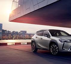 Image result for Autumn Shimmer 2019 UX