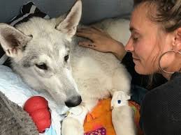 Fundraiser by Kris davidson : Magi's Emergency Recovery Fund