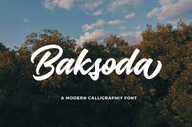 Learn how to download custom fonts to use on your ipad here. Baksoda Script Font Download Free Font