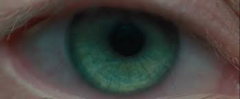 Nominated for the 2018 academy award for best cinematography. Blade Runner 2049 Best Cinematography Winner Steemkr