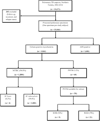 Nontuberculous Mycobacteria Isolated From Specimens Of