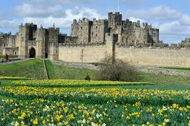 We are so excited you are going to become a part of the st. Alnwick Castle Set To Reopen As An Outdoor Attraction With Reduced Ticket Prices Northumberland Gazette