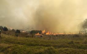 A part of the rhodes memorial restaurant on the slopes of table mountain has been destroyed by a fire that has continued to spread through the area. Fhp4yfyn Zzo6m