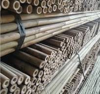 Bamboo Stick Are Manufactured by Professional Factories in China