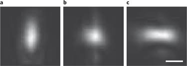 Check spelling or type a new query. Implementation Of A 4pi Sms Super Resolution Microscope Nature Protocols