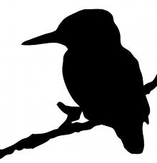 Kingfisher Bird Silhouette Clipart Publicdomainpictures Net Birds Pin 8 Bird Silhouette Silhouette Art Kingfisher Art