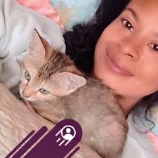 Lost cat in Santa Clarita, CA area