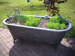 Votre Magazine Pour Le Bricolage Et Le Jardinage Bosch Diy Jardinage En Pots Jardins Amenagement Jardin
