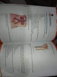 Get kunci jawaban buku bahasa jawa kelas 5 kurikulum 2013 ilmu soal gif. Jawaban Uji Kompetensi Bab 11 Ipa Kelas 8 Kurikulum 2013 Rismax