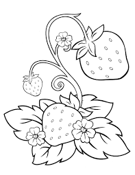 Strawberry Shortcake 22 Fruit Coloring Pages Coloring Pages Strawberry Shortcake Coloring Pages