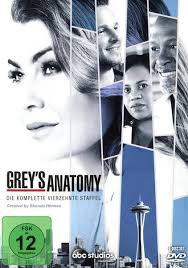 Mit ihnen fing alles an: Grey S Anatomy Staffel 14 6 Dvds Von Rob Corn Dvd Thalia