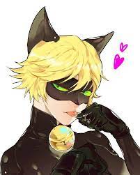 Miraculous Ladybug Chat Noir Miraculous Ladybug Miraculous Ladybug Oc Ladybug