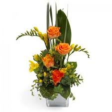 We did not find results for: Blumenlieferungen Guadalajara Online Blumenhandler Guadalajara