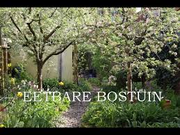 stadstuin van 55m ingericht als een mini eetbare bostuin permacultuur nederland eetbare tuin bostuin tuin