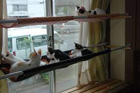 涼しくなるとハンモックが人気 うちの中の野猫にっき 猫のハンモック 猫 ベッド 手作り 猫の遊び場