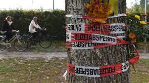 Ich meine, dass es super ist, wenn ein mensch profisportler wird. Baden Online Nachrichten Der Ortenau Offenburger Tageblatt