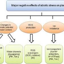 Maybe you would like to learn more about one of these? Pdf Plant Cell Organelle Proteomics In Response To Abiotic Stress