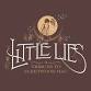 Little Lies at 41 Bridge Street Live! event image