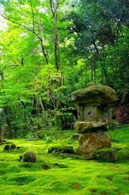 35 Peaceful Japanese Inspired Backyard Gardens Gardenoholic Japan Garden Japanese Garden Moss Garden