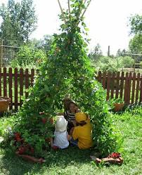 Foy Update Vegetable Garden Design Inspiration Teepee Trellis Budget Backyard Outdoor