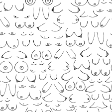 woman breast doodle illustration. Different kinds of woman boob and tits  13828982 Vector Art at Vecteezy