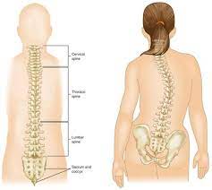 Maybe you would like to learn more about one of these? Kelainan Tulang Belakang