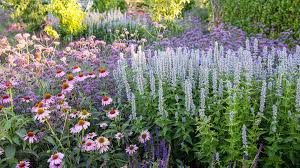 If you've got pesky deer and rabbits invading your garden, you may have had beautiful flowers reduced to rabbits are especially repelled by catmint. Top Critter And Deer Resistant Plants Sunset Magazine