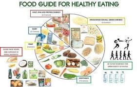 Image Result For Healthy Eating Chart For Adults Healthy