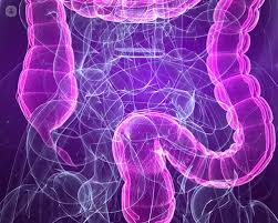 I want you to take note: 4 Other Conditions With Ibs Symptoms