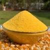 Corn goes through several stages from germination to maturity and is picked fresh for eating when the kernels are plump and filled with a liquid referred to as milk. Https Encrypted Tbn0 Gstatic Com Images Q Tbn And9gcrvvca Hjhyimek8ju8chtb9ojl5xn5xvw1doii9ppmj3 O Qum Usqp Cau